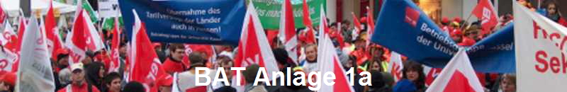 BAT Anlage 1a